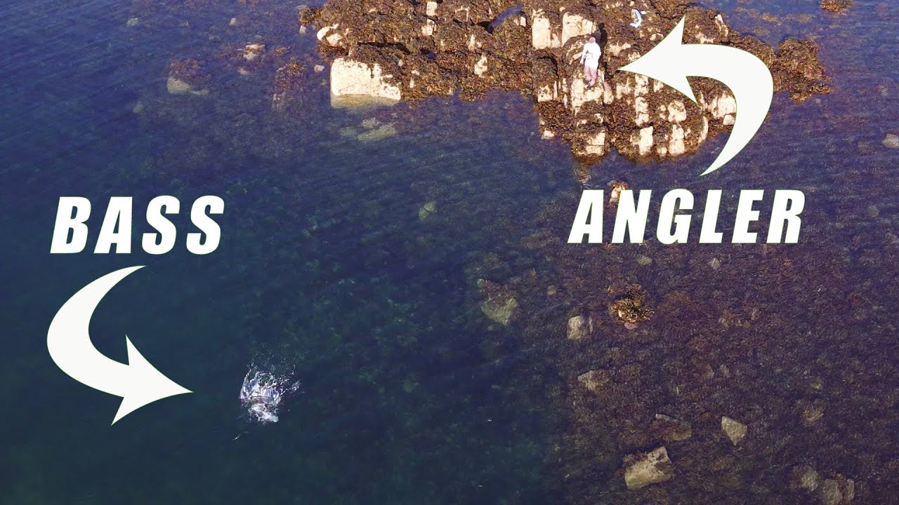 lure fishing for bass using topwater and soft plastics | topwater hit with drone | uk bass fishing