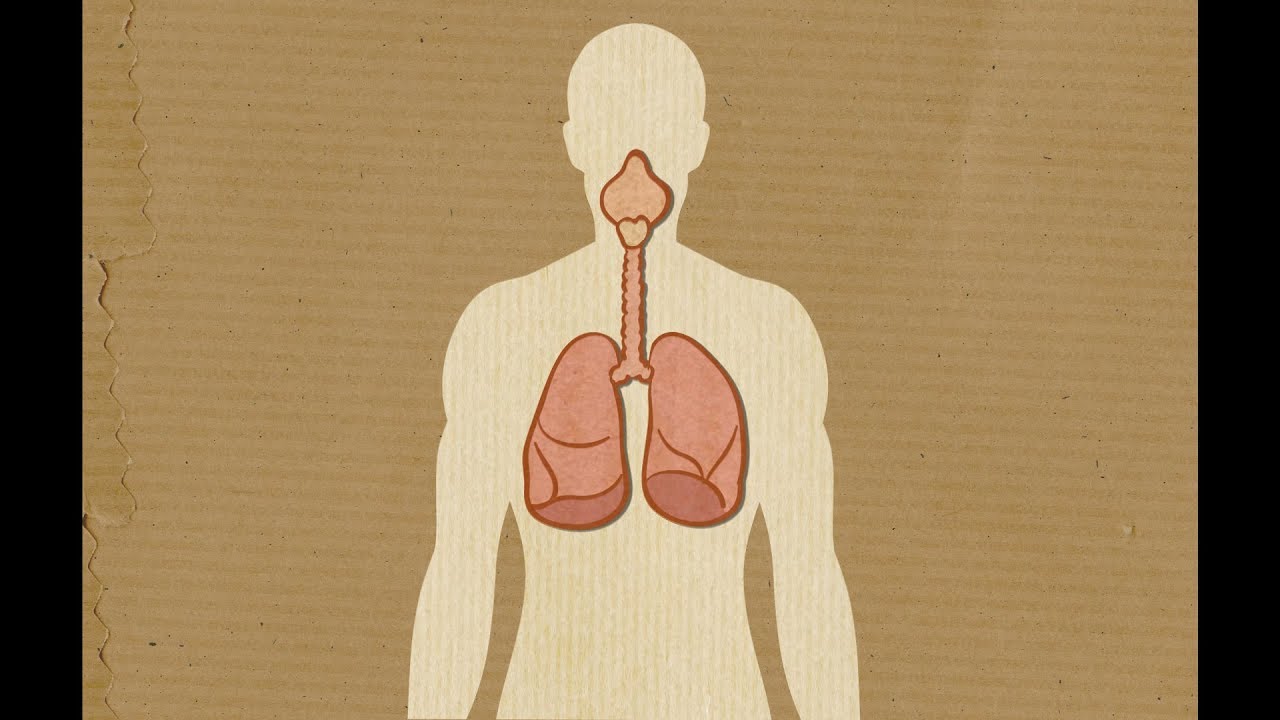 Radon: Protect Your Health at Home