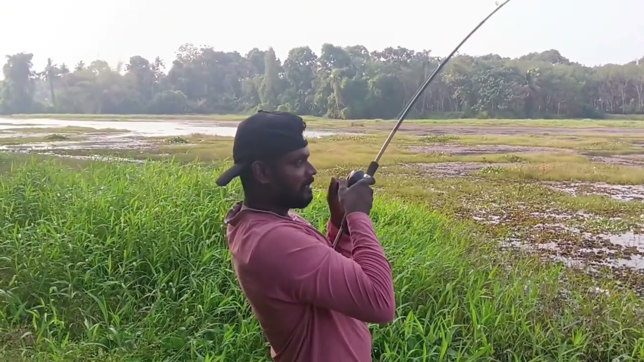 നല്ല ജയിന്റ് ചെറുമീൻ അടിച്ചു നല്ല കിടിലൻ ഫൈറ്റും ലീഡർ ലൈൻ പൊട്ടിച്ചു മീൻ മിസ്സ്‌ ആയി ഗായ്‌സ് 😔😔