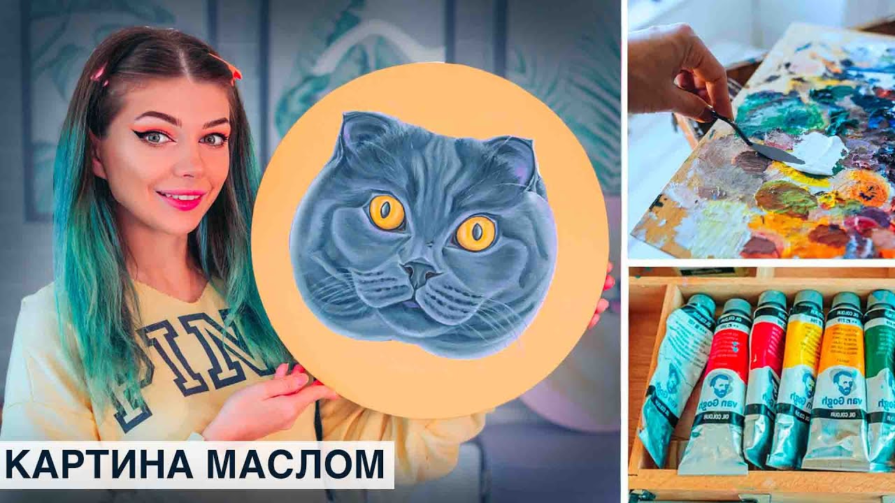 Рисую Котика Маслом - Картина Маслом Шотландская Кошка  | Как нарисовать Кошку масляными красками