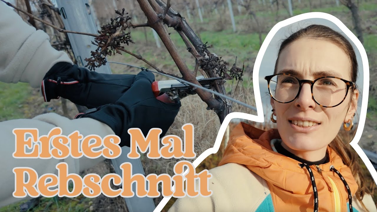 Erstes Mal Rebschnitt - Weingut La Familia - Vlog 02