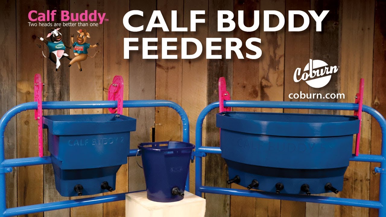 Calf Buddy Feeders and Nipples