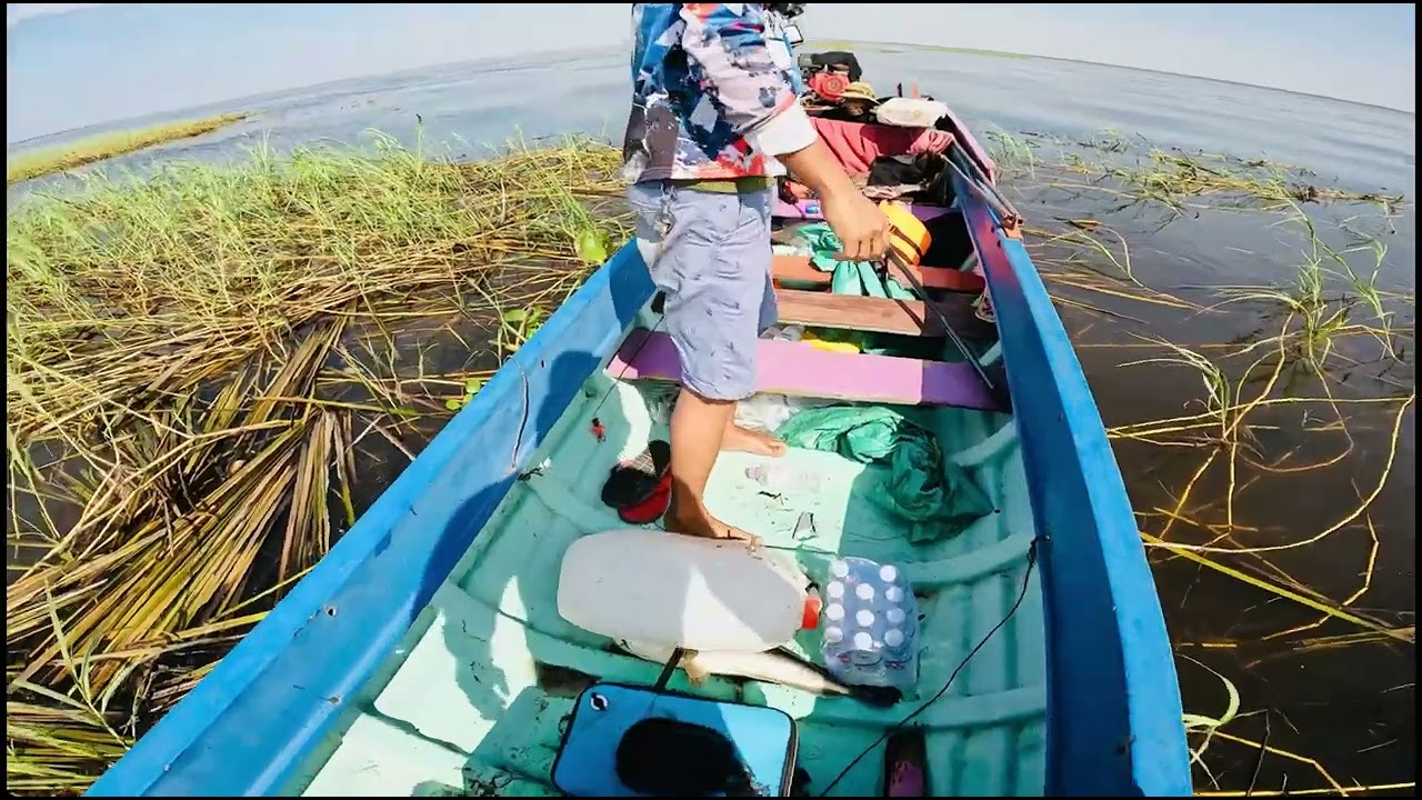 Fishinh for Giant Snakehead Fish