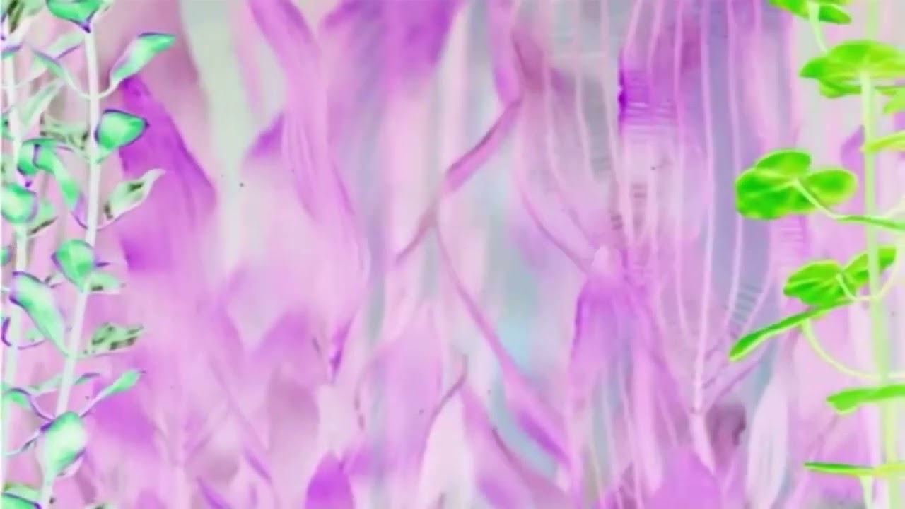 Finding Nemo End Credits in G Major