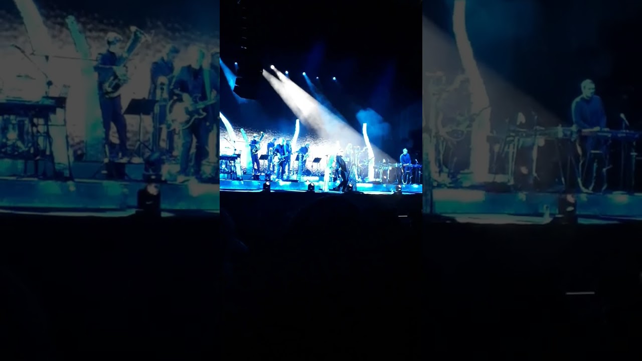 DAWID PODSIADŁO - Eight - Leśna Muzyka Gdynia 19.02.2020