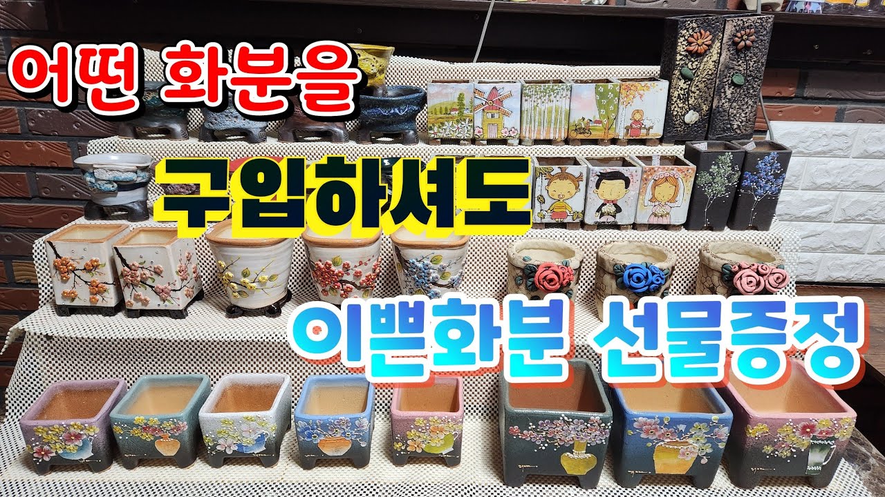 화분구입하는 모든분들께 선물증정 🎁