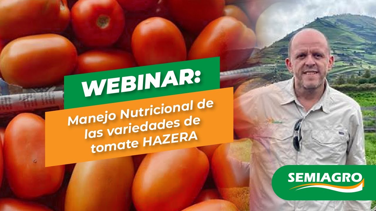 WEBINAR: Manejo Nutricional de las variedades de tomate HAZERA
