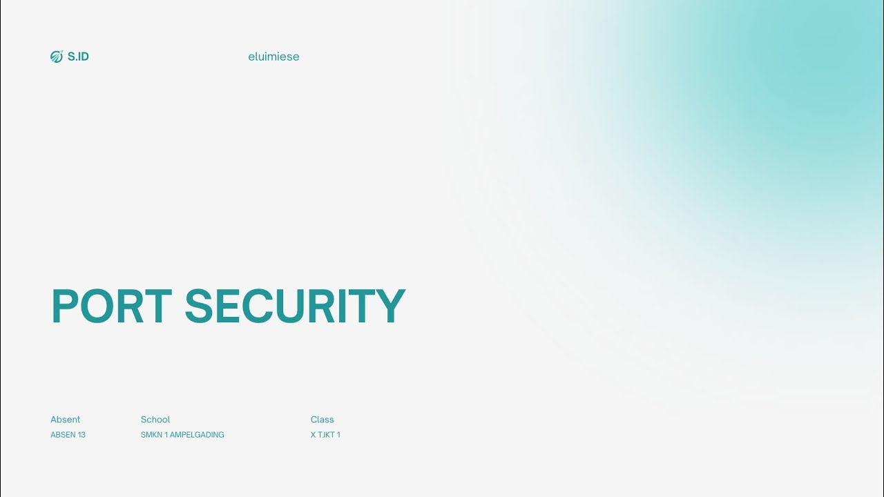 PORT SECURITY