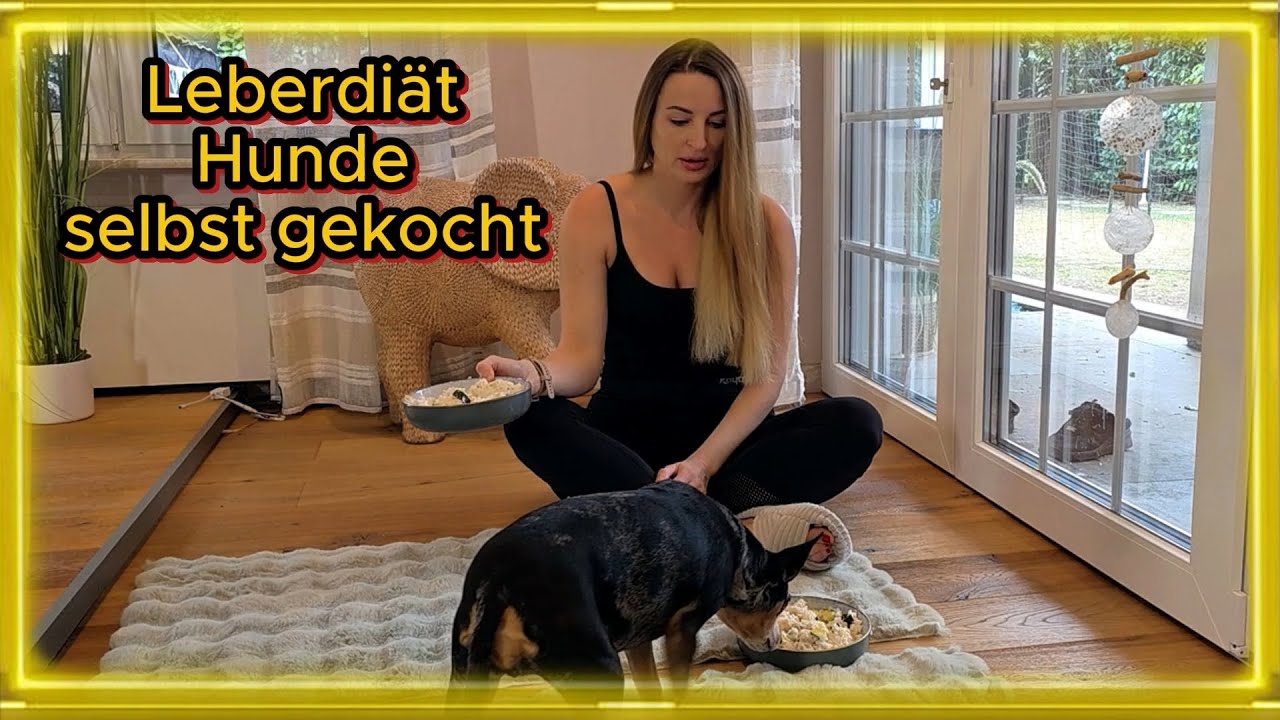 Hähnchen-Reis-Topf mit Zucchini | Leberfreundlich kochen für Hunde mit Fettleber #tierliebe #humor