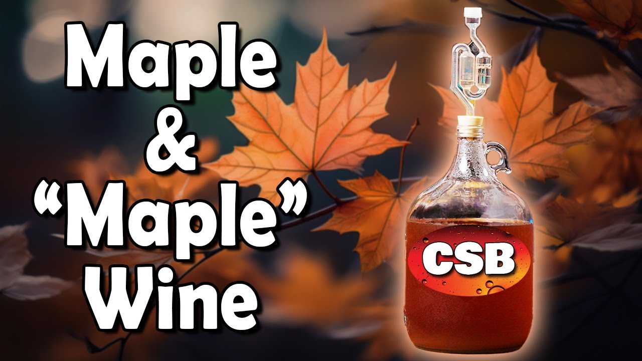 Homemade Maple Wine in 24 Days! -Tastes Like Bacon?
