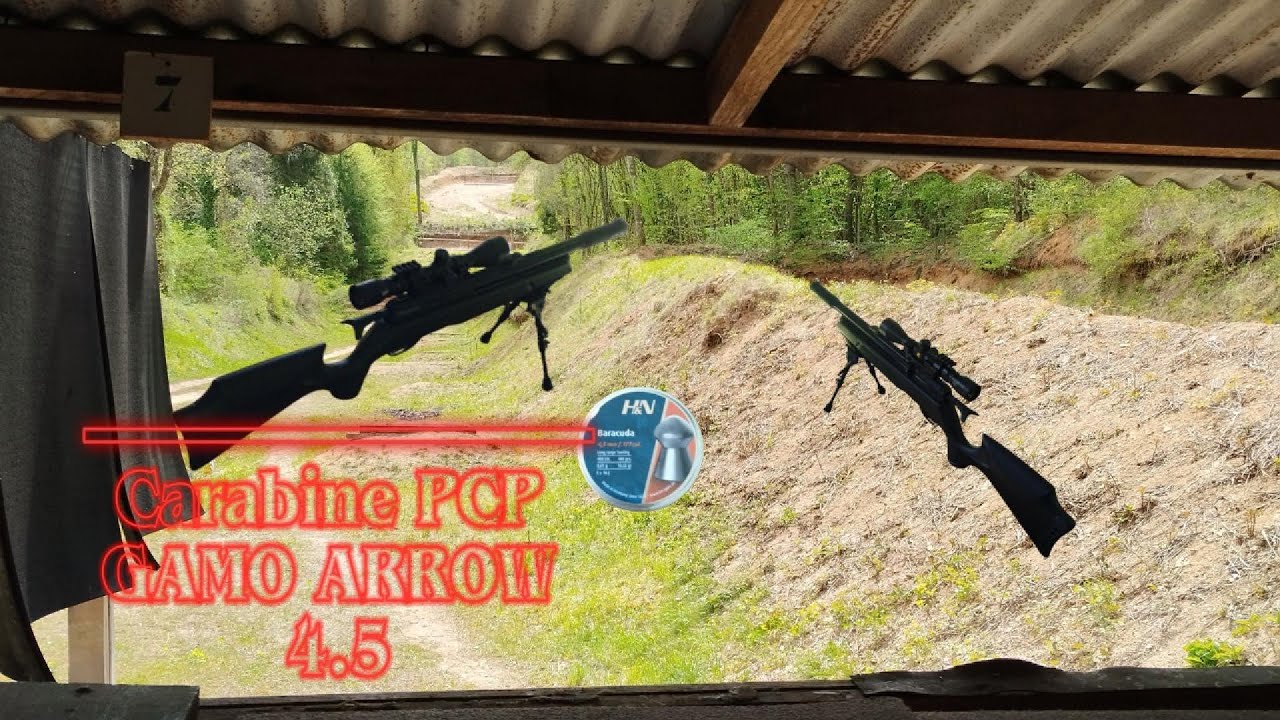 Gamo PCP Arrow 4,5 19,9 joules à 25, 50 et 75 mètres 😁🥴
