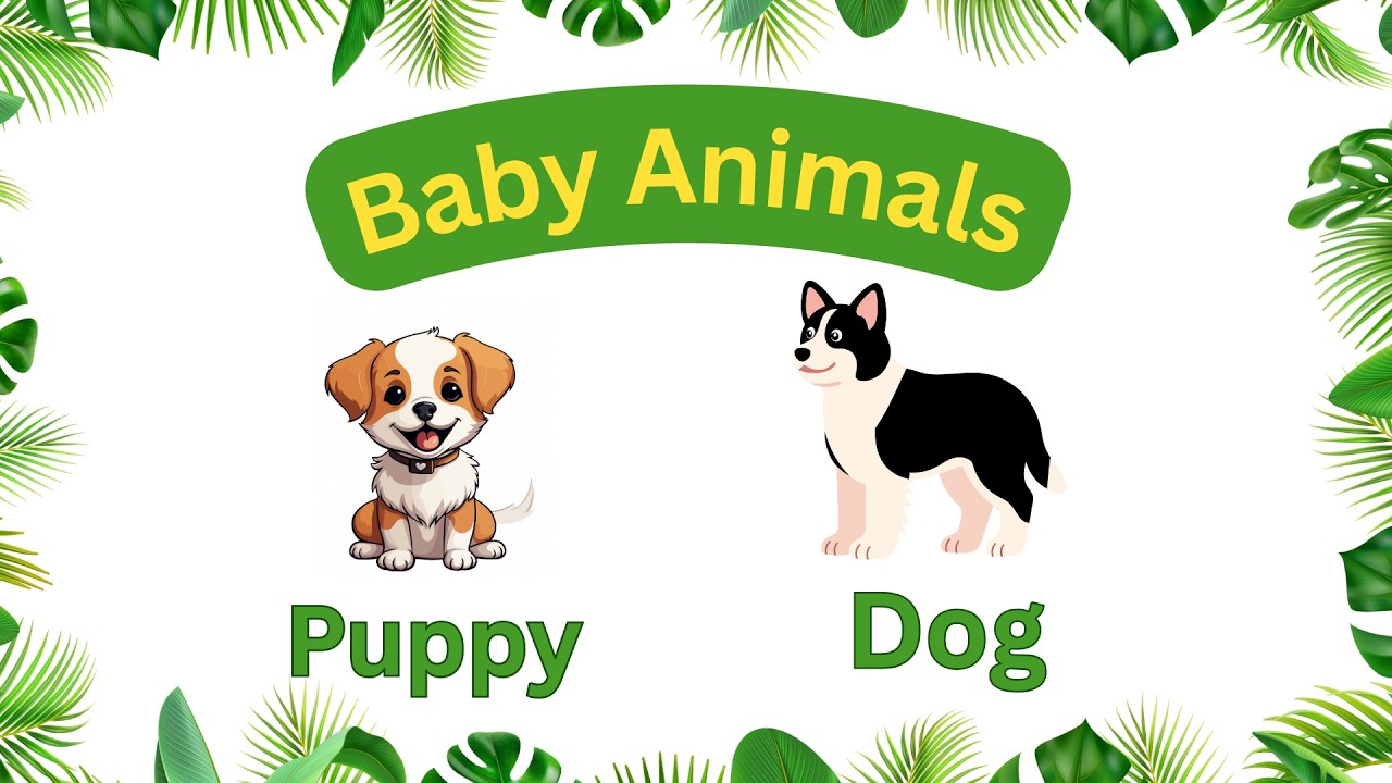 Can You Guess The Baby? 🐯 Farm Animal Game For Kids | 3 Second Challenge | Baby Animals