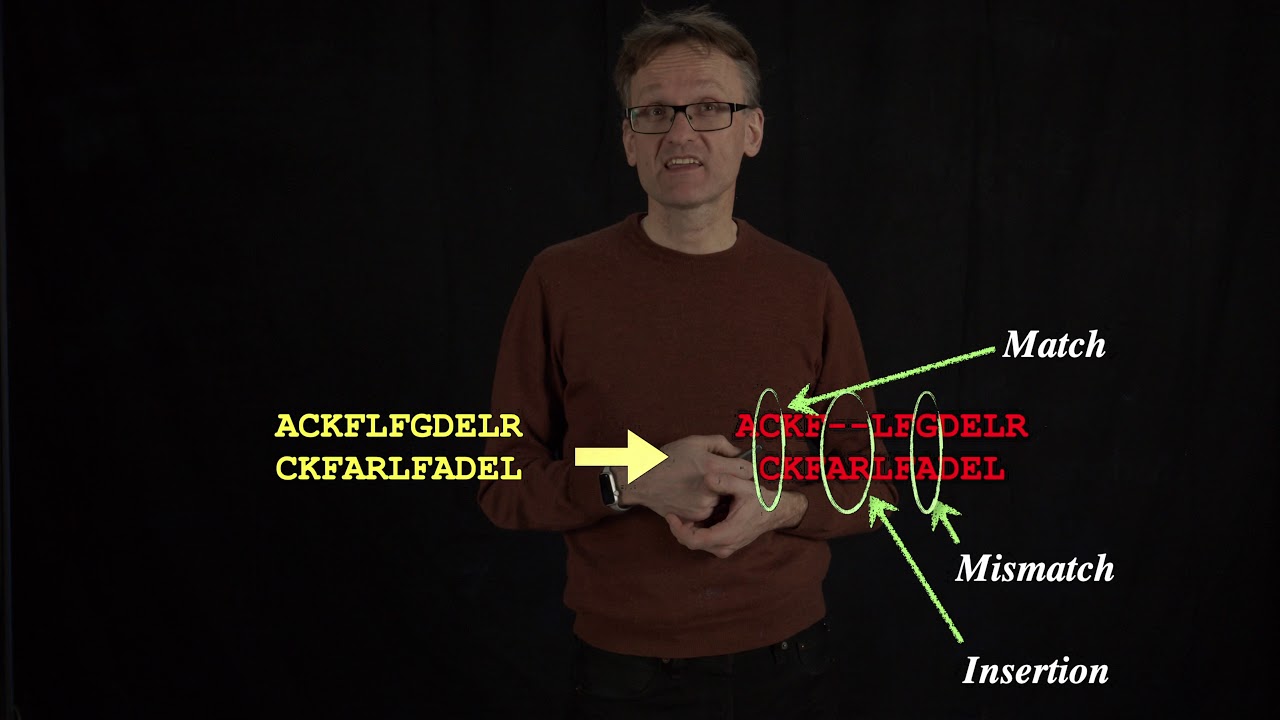 Lecture 11, concept 14: Protein sequence similarity: From mutation probabilities to scoring matrices