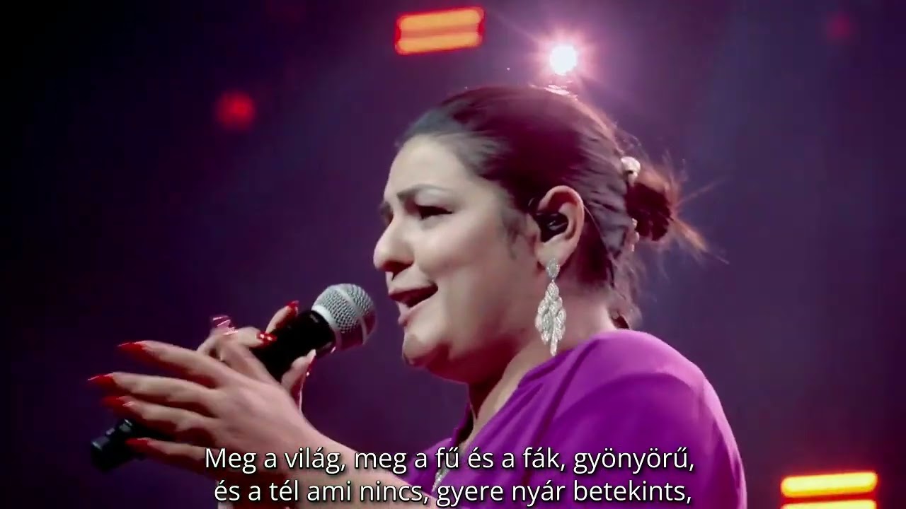 F&uacute;jj meg sz&eacute;l Live - Parno Graszt & Bagossy Brothers Company, Lyrics Frank#dalsz&ouml;veg #lyricvideo