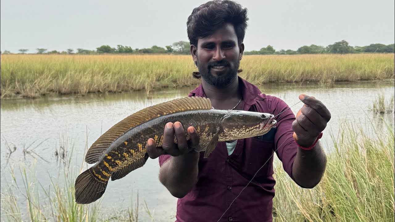 Trending ₹2000 Fishing Rod And Reel Combo Worth Or Not? 🤔 | Yolo BG 4000 Fishing Reel User Review