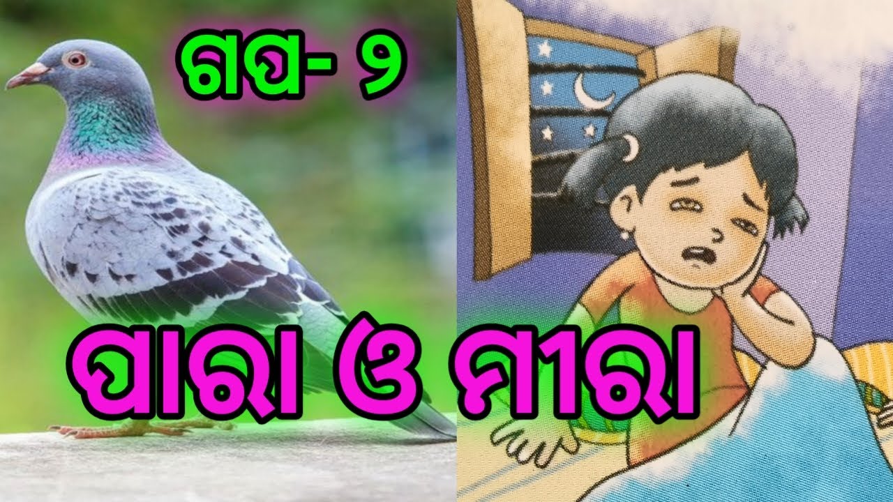 ପାରା ଓ ମୀରା # ଗପ ୨ #ପଢ଼ିବା ଗଢ଼ିବା ଓଡ଼ିଶା #padhiba gadhiba odisha #gapa #gapastory #story #parao mira