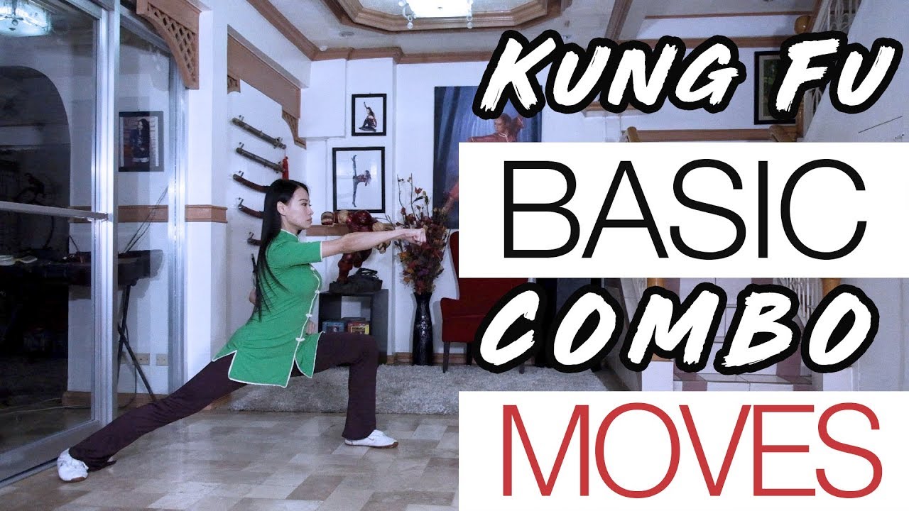 KUNG FU BASIC COMBO MOVES