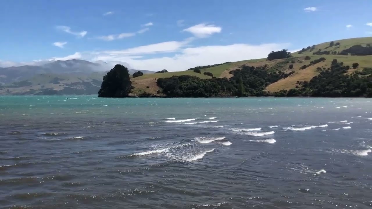 Christchurch to Akaroa part 18 of 18
