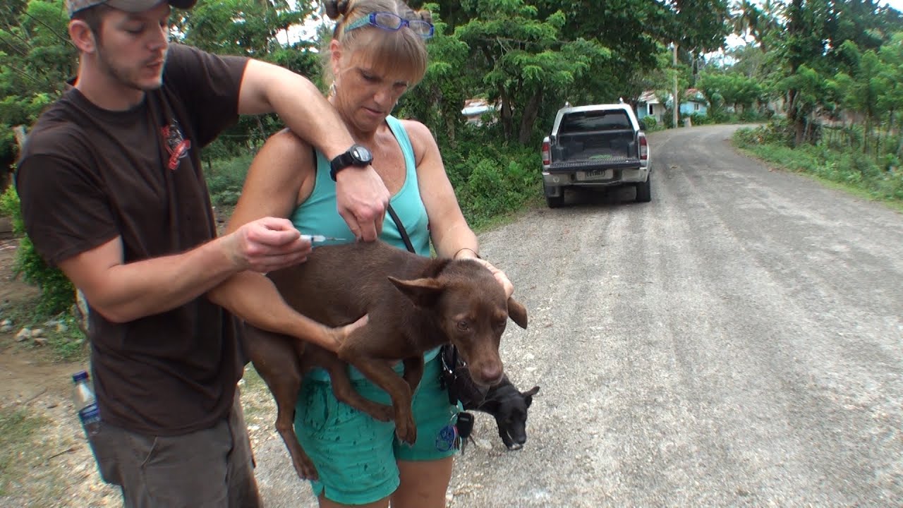 Vaccinating in Rural Dominican Republic
