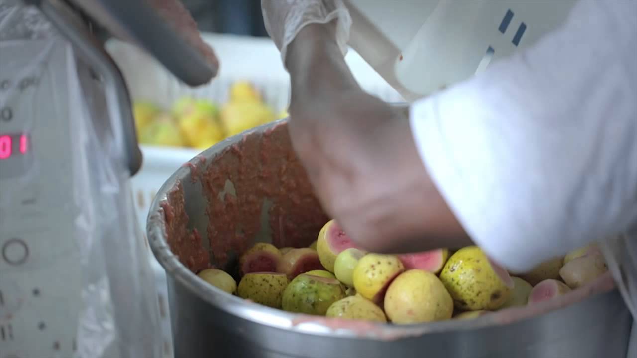 Snack Elizé - Pub Boisson Goyave 100% PIL