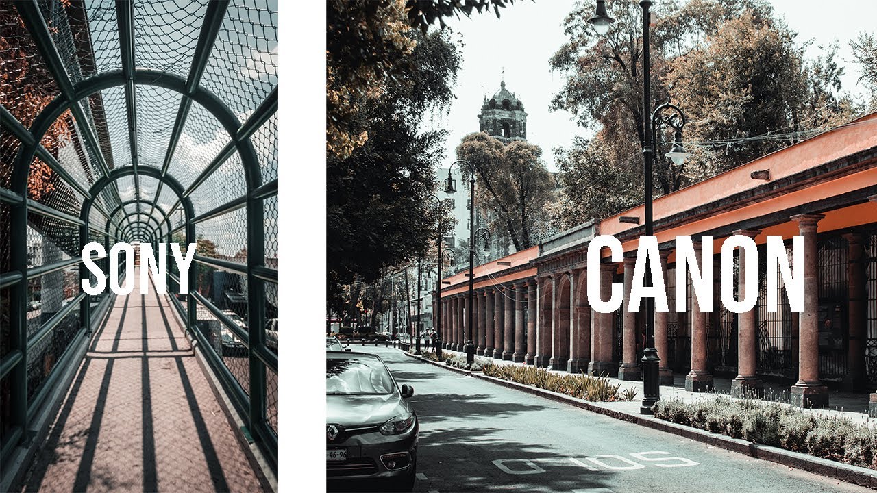 SONY (DSC HX-300) VS CANON (EOS REBEL T6)