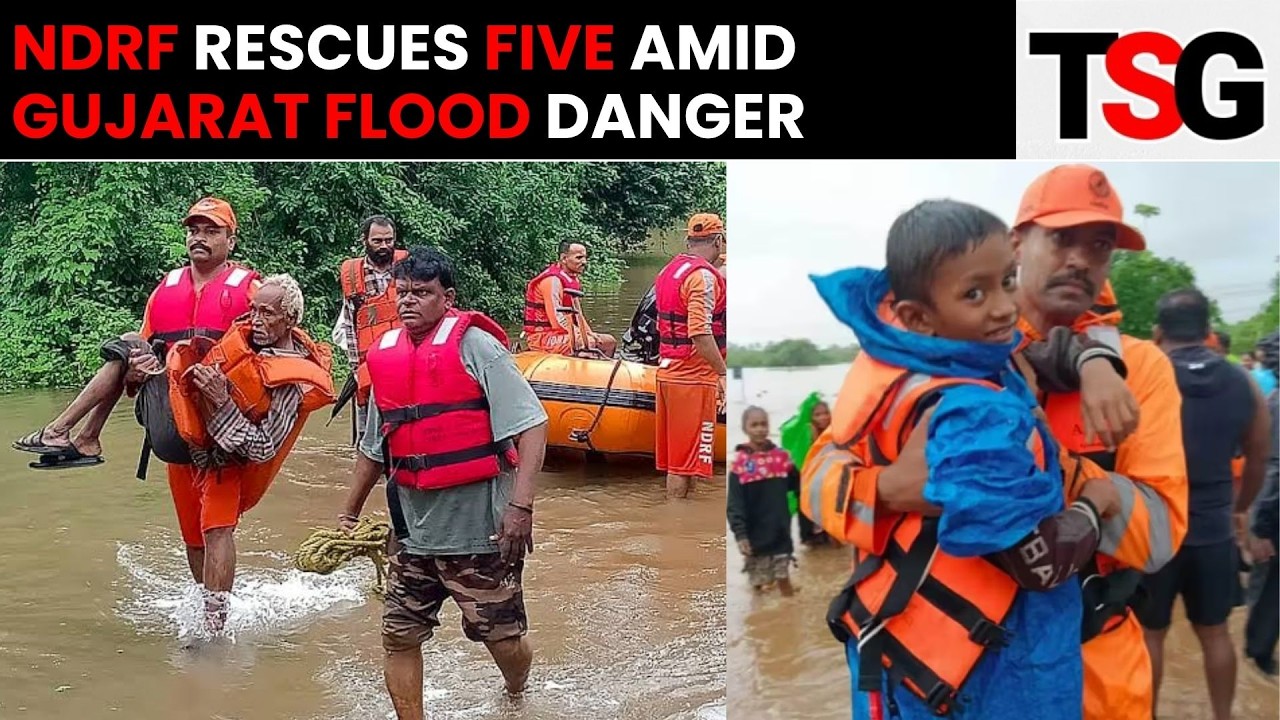 NDRF Heroes Save Five Stranded Villagers From Rising Kankavati River Waters In Gujarat | TSG