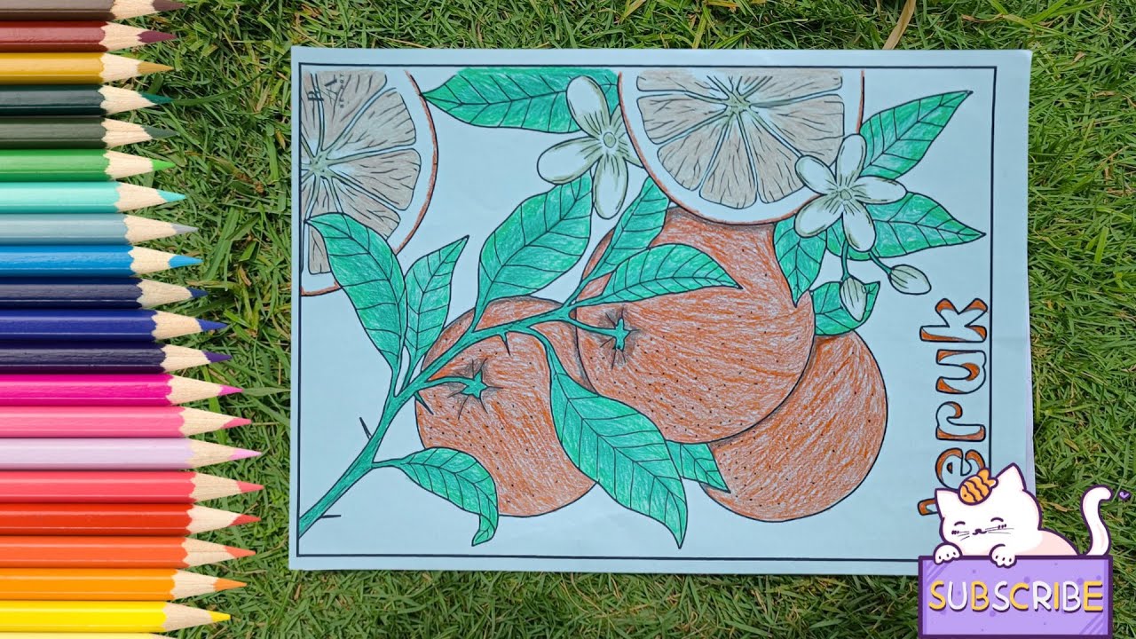 Belajar Mewarnai Buah Jeruk Pintar Dalam Waktu 15 Menit