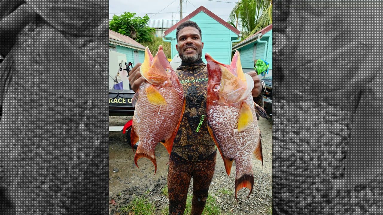 THE 2025 SHOTS WITH TSS