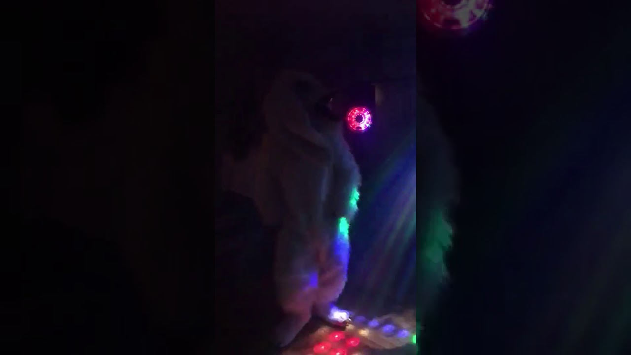 Dancing Rabit Rabbit