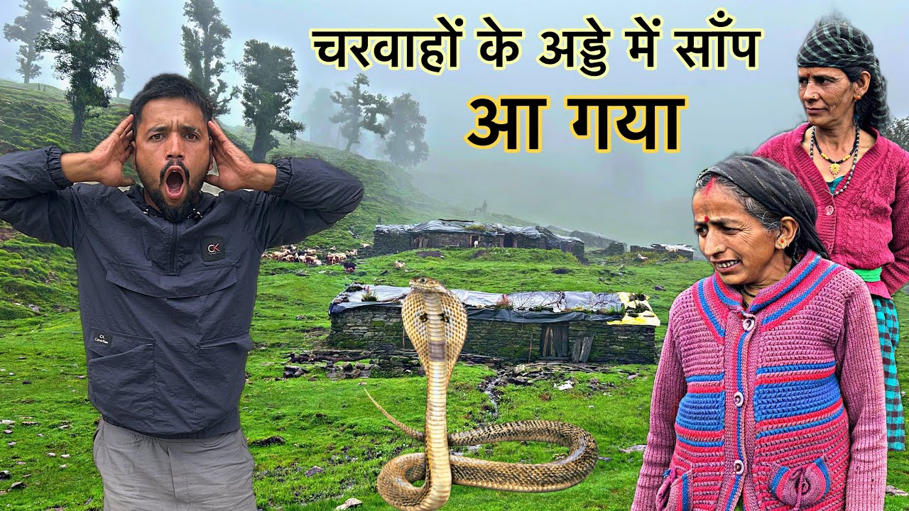 अकेली महिला के अड्डे में साँप आ गया, कैसे किया सामना Shepherd lifestyle vlog | Arjun Khalptia vlogs