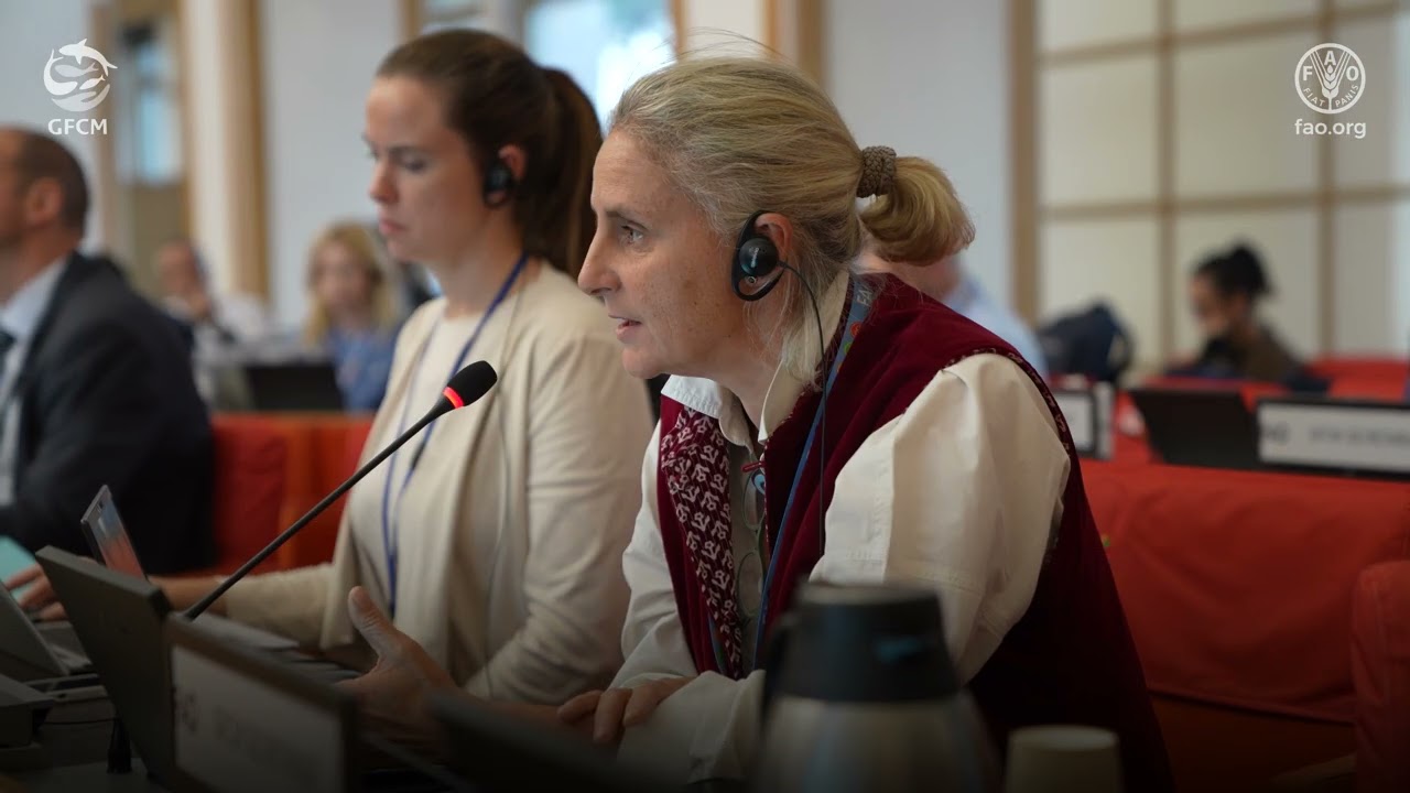 Împreună pentru redresarea sturionilor emblematici din Marea Neagră