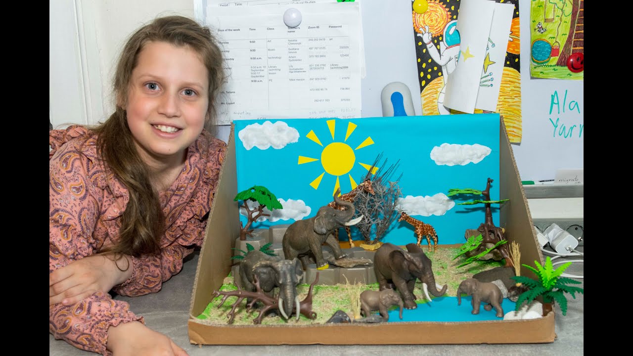 Elephant habitat project