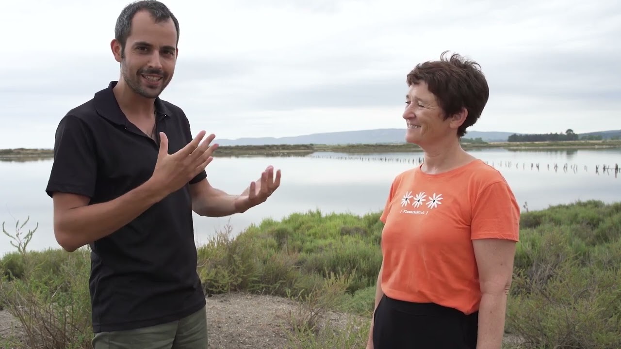 Websérie - Épisode 9 - Agir collectivement contre le changement climatique