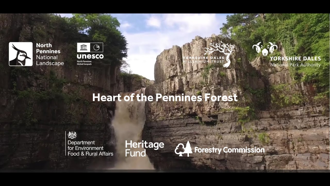 Heart of the Pennines Forest project