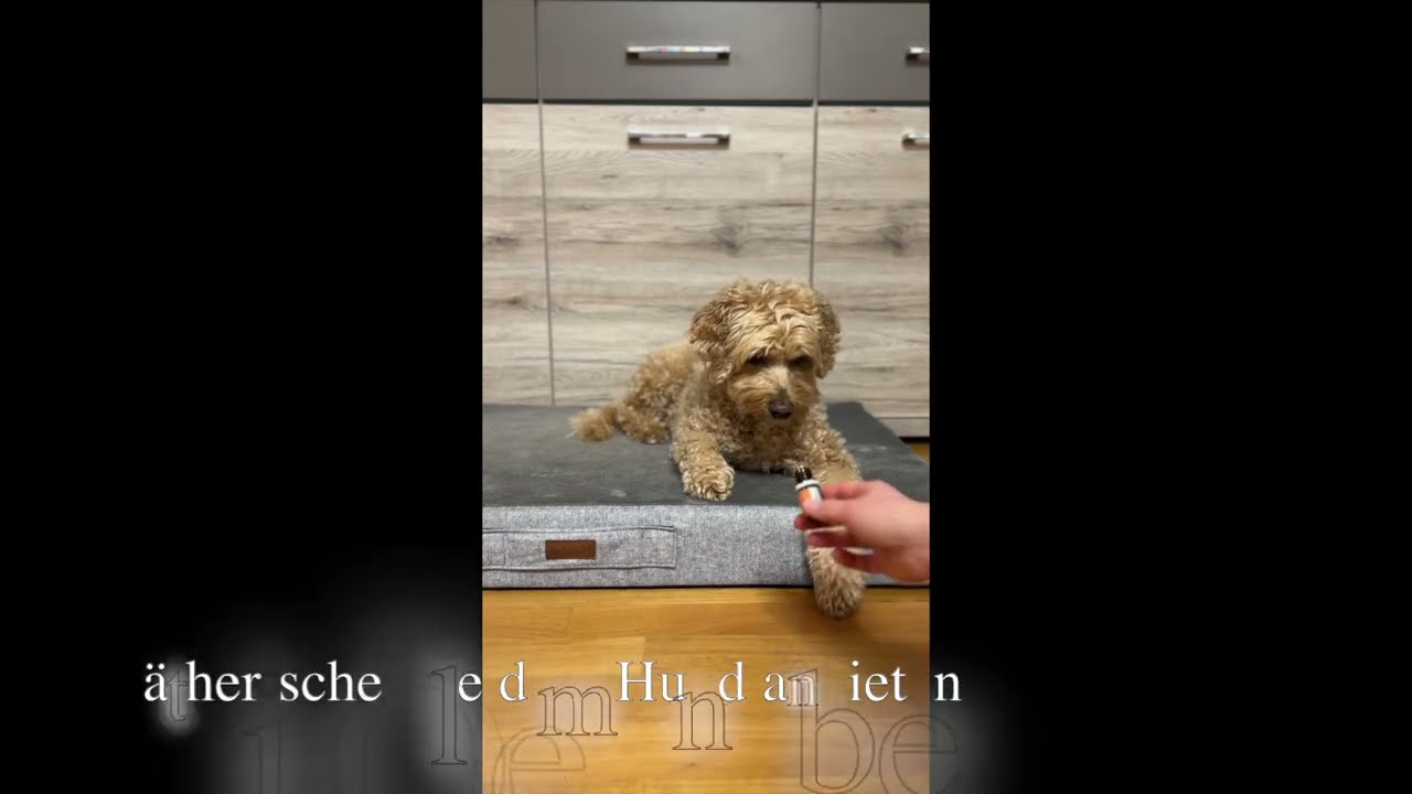 &Auml;therische &Ouml;le f&uuml;r den Hund.