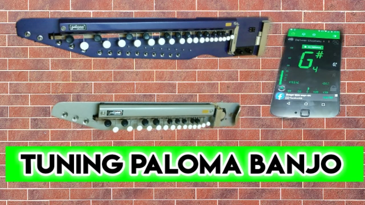 Tuning | Banjo | Bulbul Tarang | Shahi Baaja | Pitchlab Lite tuner |Datuner|Guitar tuner|Banjo Cover