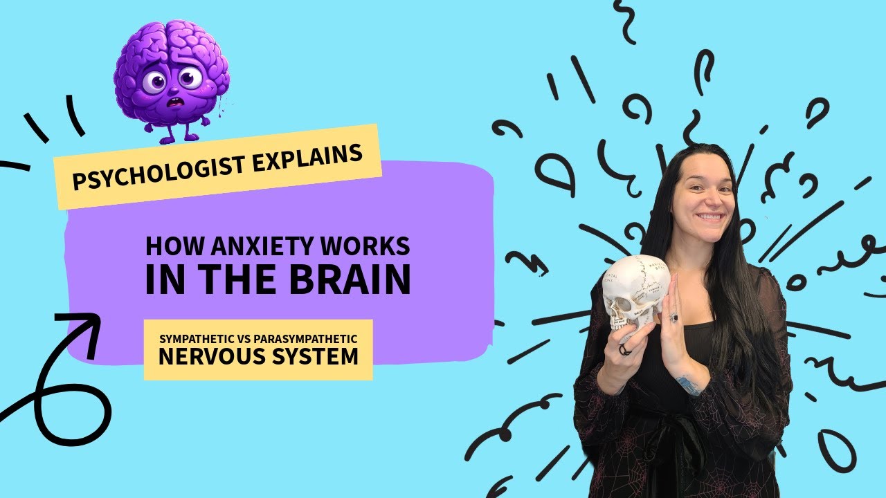 How Anxiety Works in the Brain | Sympathetic vs Parasympathetic Nervous System