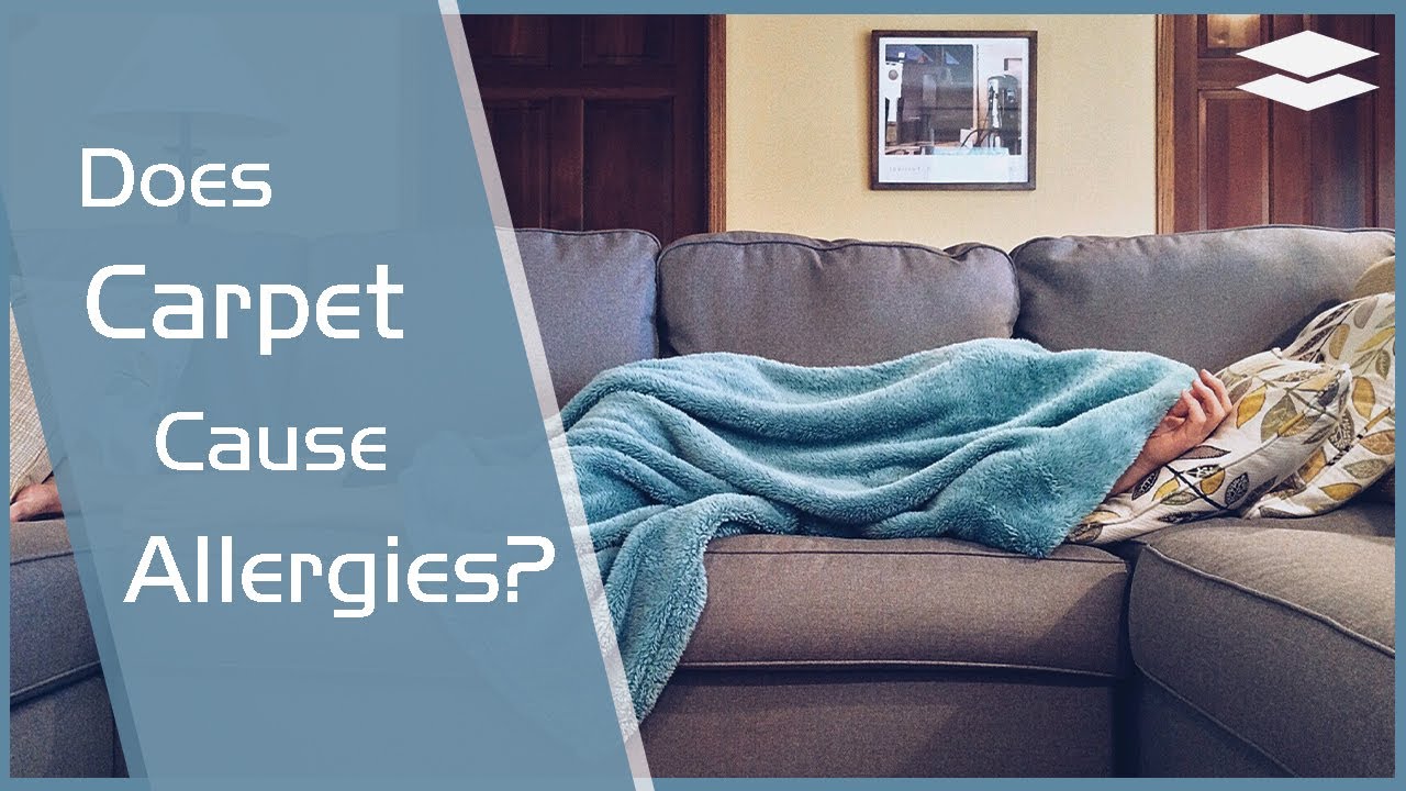 Does Carpet Cause Allergies? (Truth of Myth)