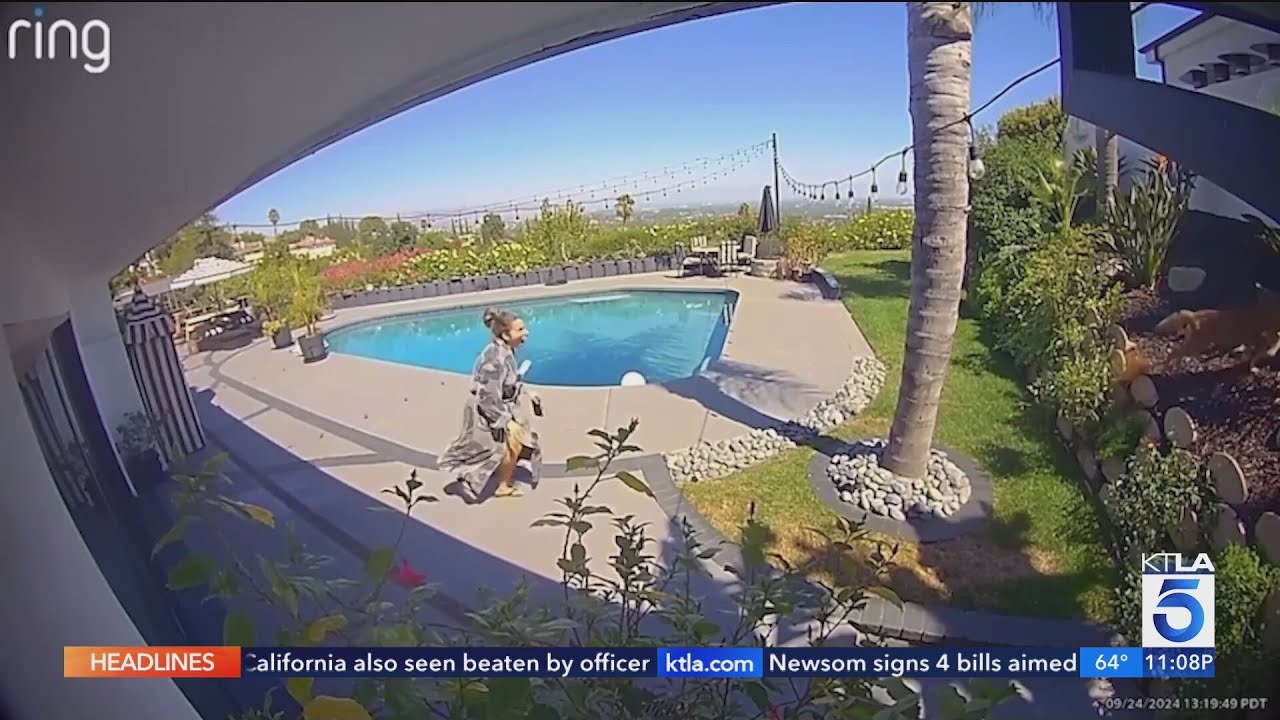 Tommy Lee's wife, comedian Brittany Furlan, rescues dog from coyote attack in SoCal