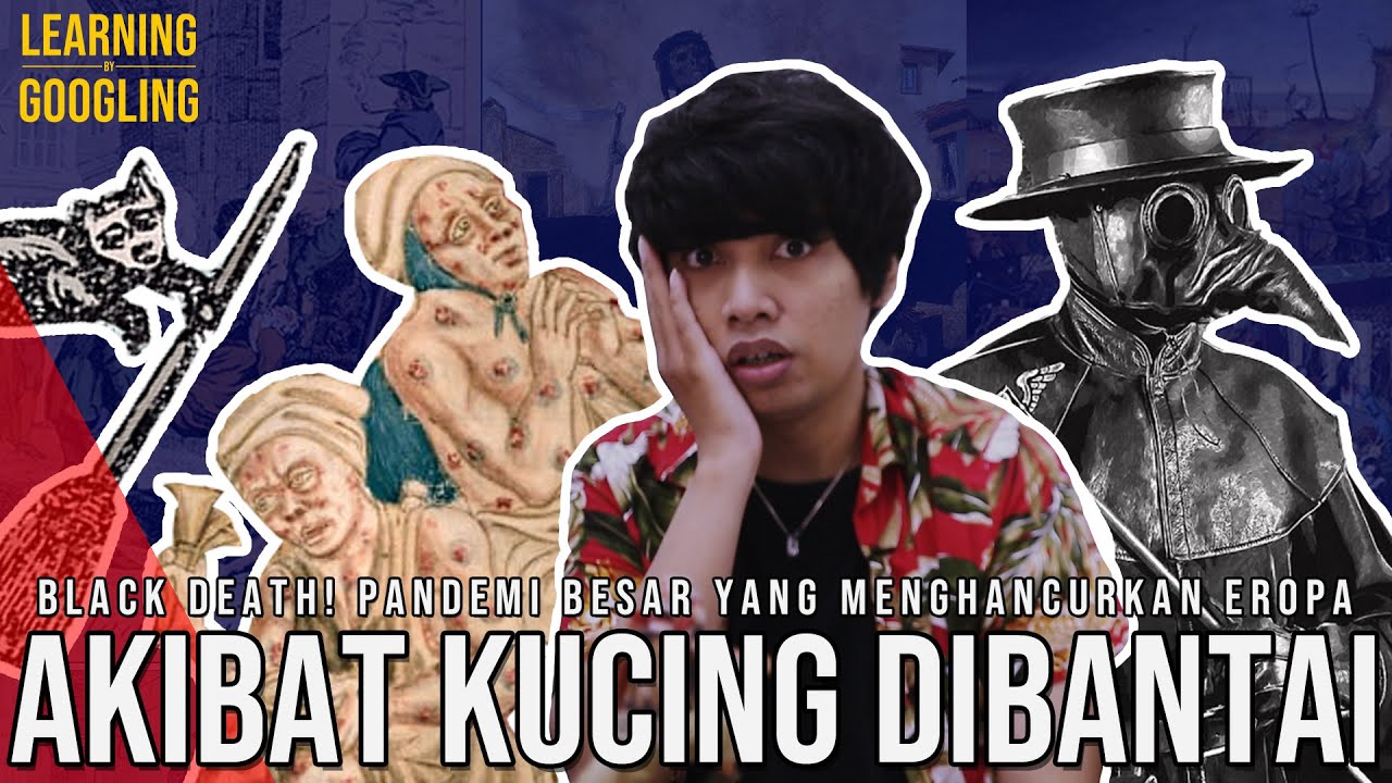 Bantai Kucing Berakhir Pandemi Besar? Wabah Black Death! | Learning By Googling #68