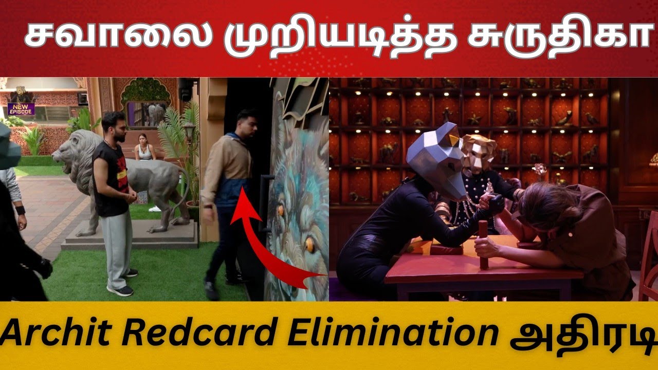 The 50 Day 5 | Lion சவாலை முறியடித்த சுருதிகா சம்பவம் |  Archit Redcard Elimination அதிரடி