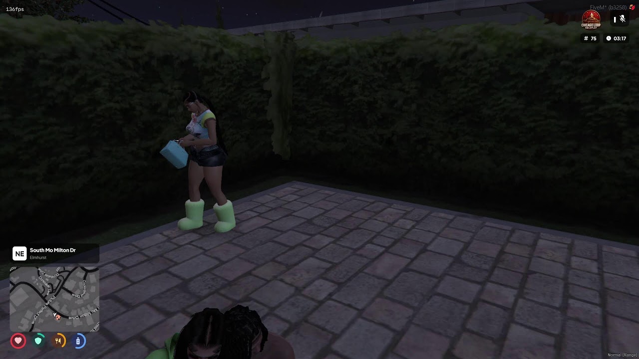The story of Bloodhound Lil Dave (Chicago Loop RP)
