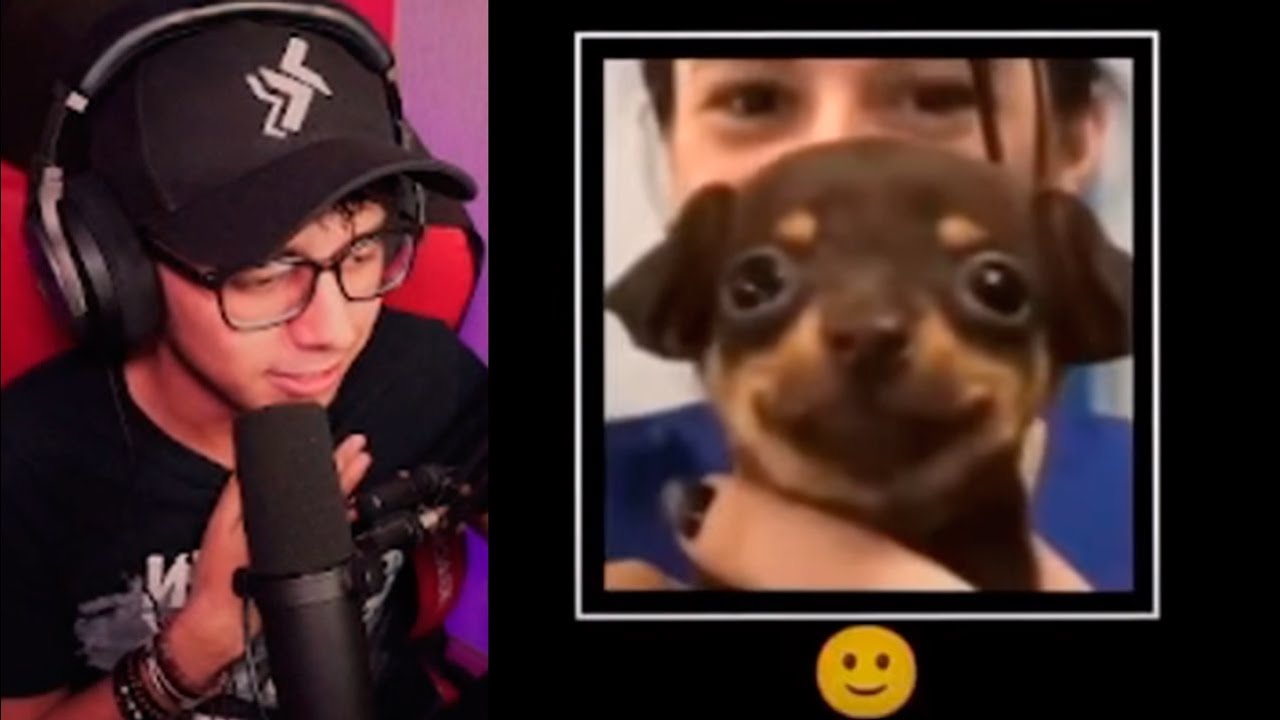 seguidores me pasan videos