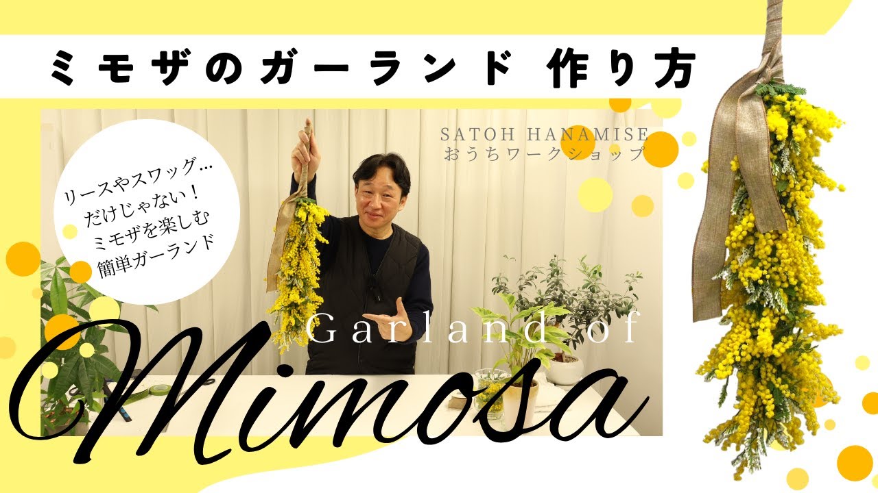 リースやスワッグだけじゃない！ミモザを楽しむガーランドの作り方【サトウ花店 おうちWORK SHOP】