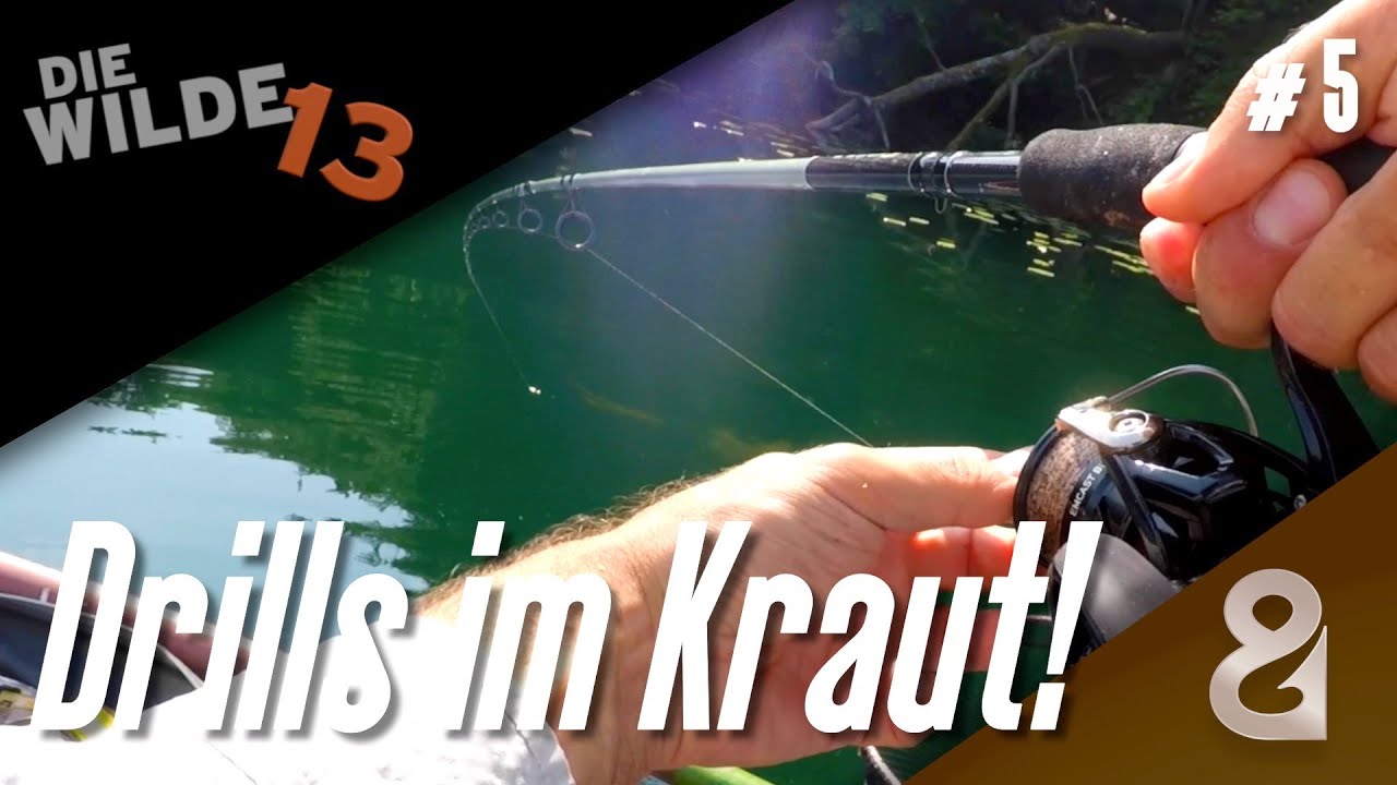 Dicke Friedfische am Morgen! DIE WILDE 13, Folge 5