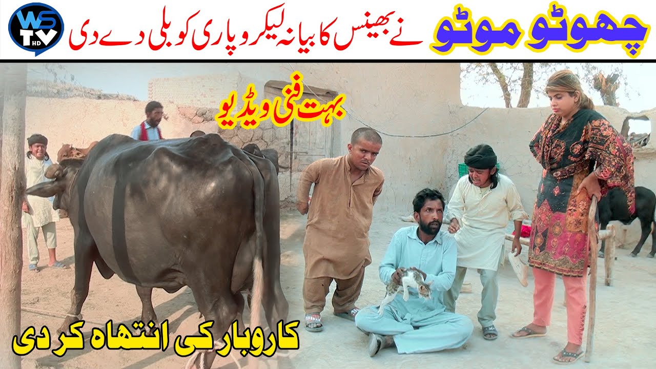 Chuto Muto Bhola Nashai New Funny Video Must Watch Top Video 2023 WS TV HD