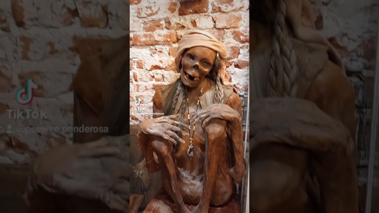 Curiosity shop in Groningen