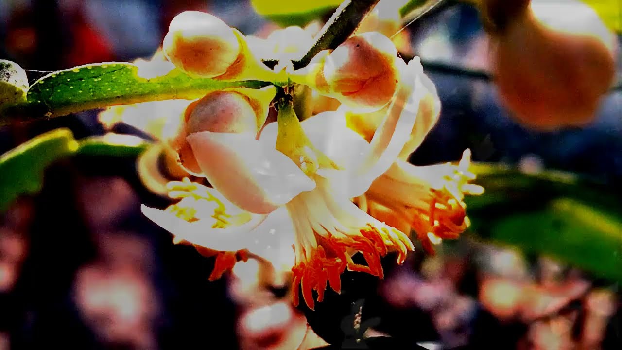 অচেনা তুমি//সকল পর্ব//জয়-নয়নিকা//ভালোবাসার মানুষ এমন ভাবে ভুলে যায় 😢💔?//A Romantic-Love Story//