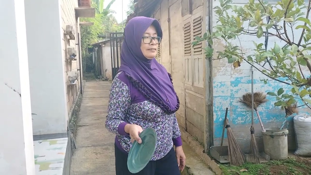 HIDUP DI DESA. PETIK CABE SETAN