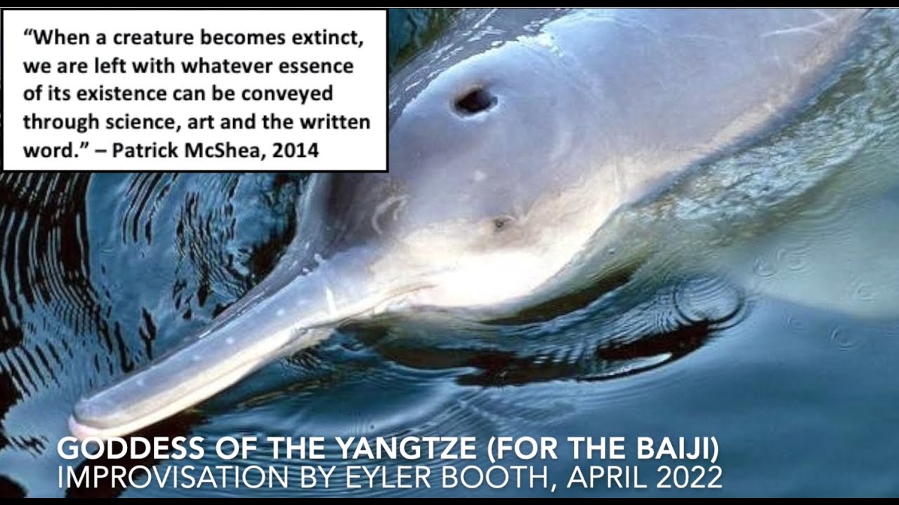 Goddess of the Yangtze (for the Baiji)